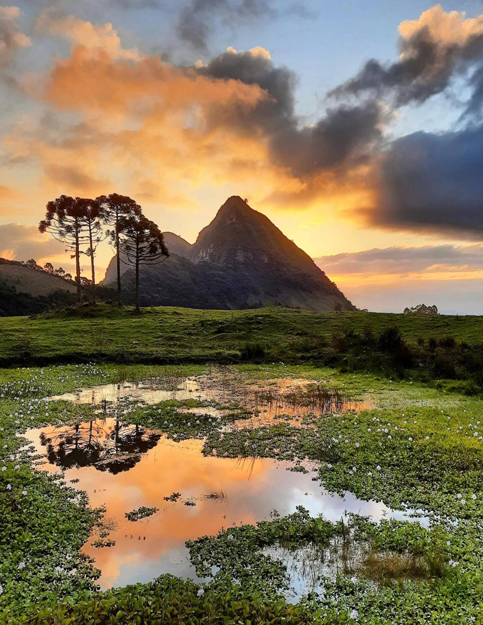 Вілла Refugio Da Montanha Brasil Алфреду-Вагнер Екстер'єр фото